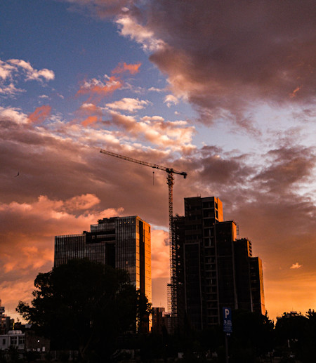 Animal, Bird, City, Construction, Construction Crane, Metropolis, Nature, Outdoors, Sky, Urban