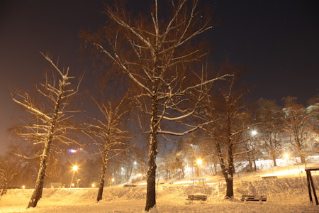 Bench