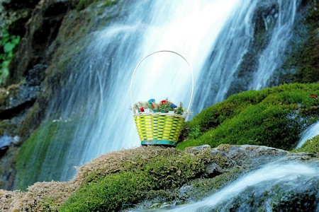Basket