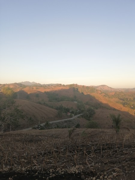 A peaceful rural scene in the mountains. Standing in the middle of a harvested cornfield after completing the harvest, surrounded by nature and the beauty of the countryside. This image represents hard work, farming life, and the rewarding moment after a successful season.