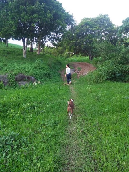 Capiz * Philippines * countryside * nature * green landscape * rural * travel * outdoors