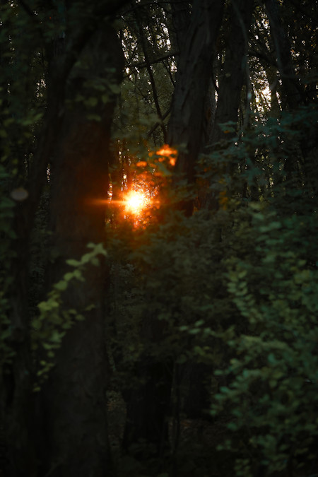 Flare