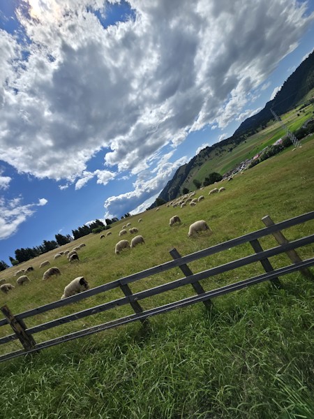 Countryside