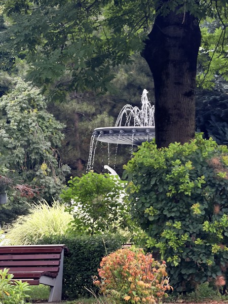 Arbour