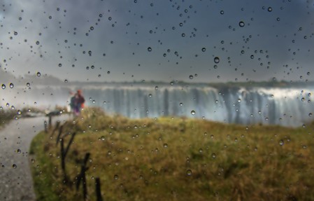 Animal, Flock, Flying, Grass, Landscapes, Nature, Outdoors, Person, Photography, Plant, Raindrops, Scenery, Scenic, Travel, Water, Waterfalls, Weather