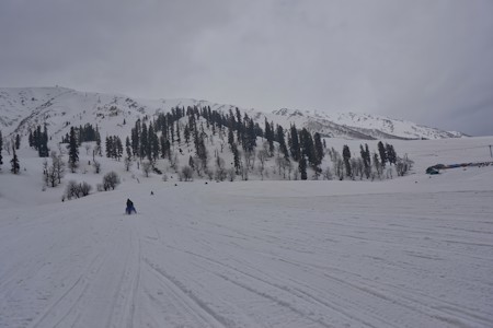 Fir, Ice, Landscapes, Mountain, Nature, Outdoors, Person, Photography, Piste, Plant, Scenery, Slope, Snow, Travels, Tree, Weather, Winter