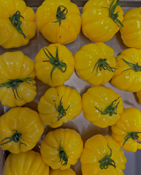 Bell Pepper