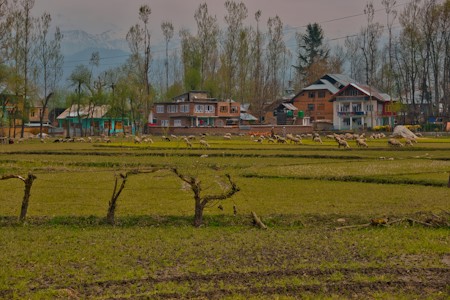 Countryside, Homes, Houses, Landscapes, Mountains, Rural, Rustic, Scenery, Sheep farm, Travel