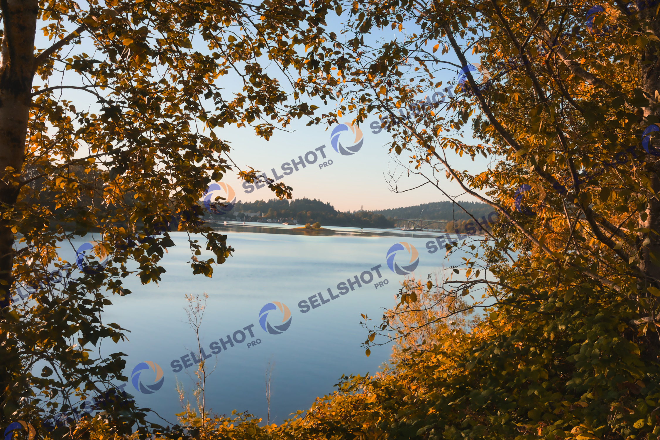 Autumn colors and rellections