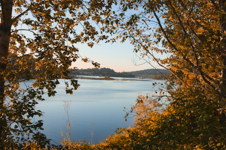 Autumn
