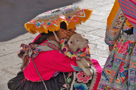 Alpaca