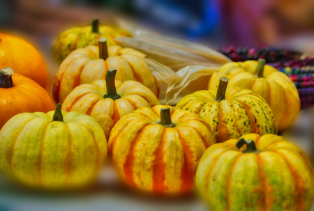 Display of ornamental squash pumpkin and corn