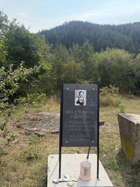 Face, Gravestone, Head, Person, Plant, Plaque, Tomb, Tree