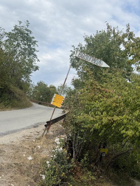 Animal, Bird, Gravel, Nature, Path, Road, Road Sign, Sign, Symbol, Tarmac