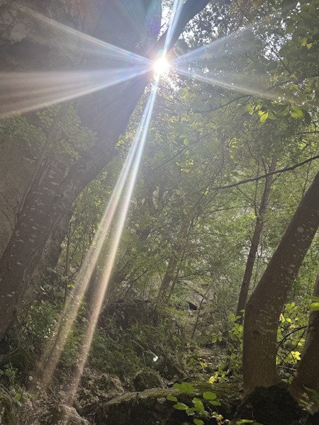Flare