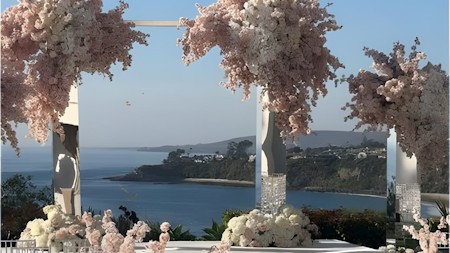 Flower, Landscape, Nature, Outdoors, Plant, Scenery, Sea, Water, Waterfront
